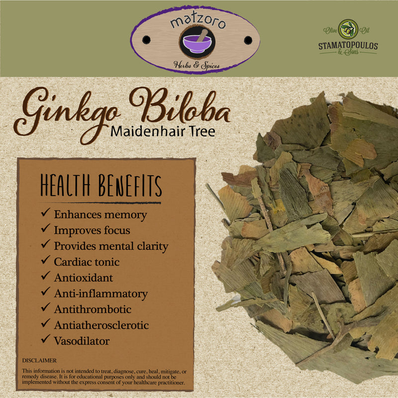 Gingko biloba (Maidenhair Tree)