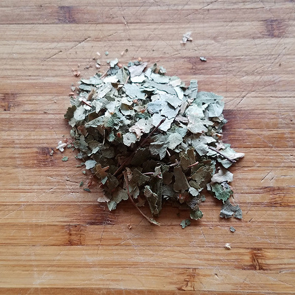 Birch (Betula Rendula)
