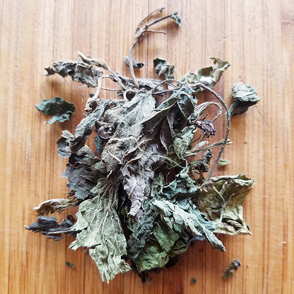 Nettle Leaves