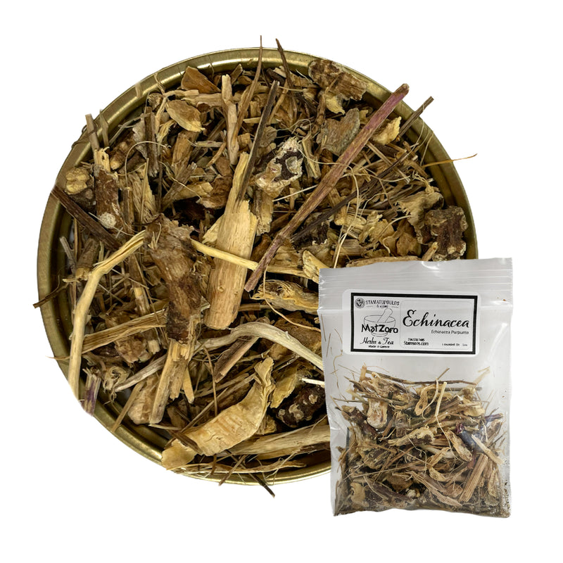 Echinacea