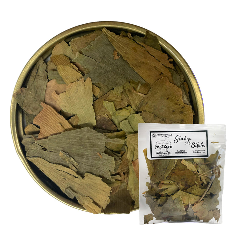 Gingko biloba (Maidenhair Tree)