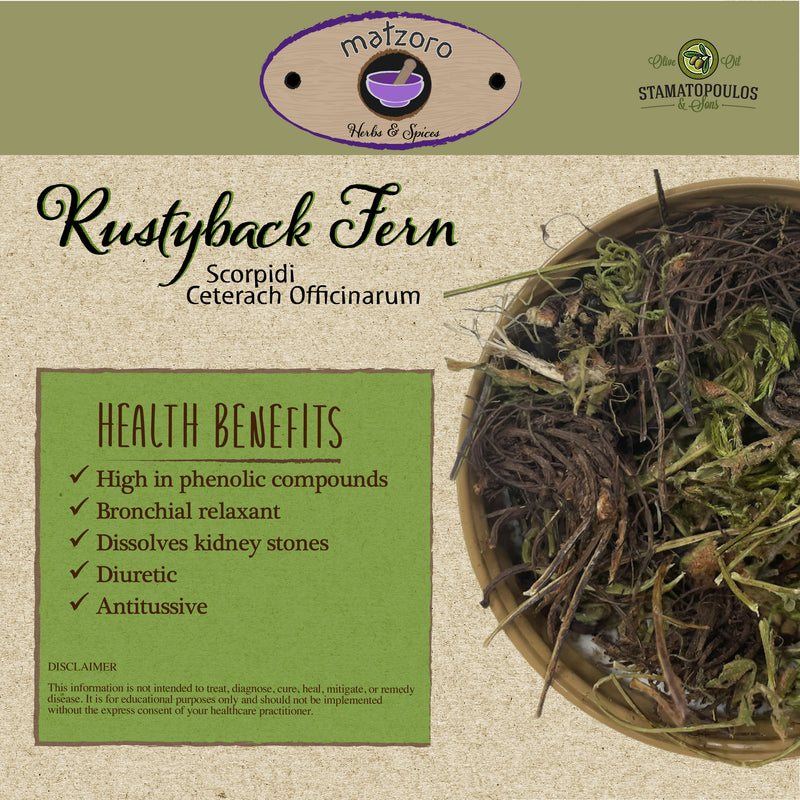 Rustyback Fern