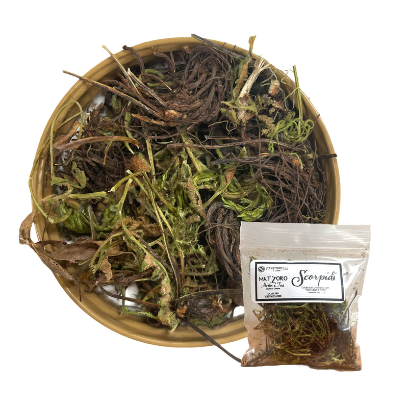 Rustyback Fern